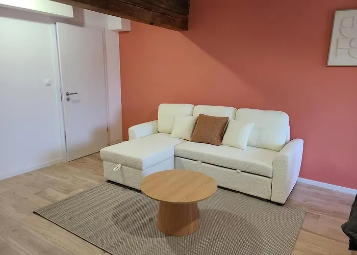 Apartamento Malbec - Proche Centre Mulhouse
